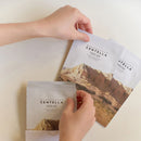 SKIN1004 Máscara de Ampola de Gel Aquoso Centella 25ml x5